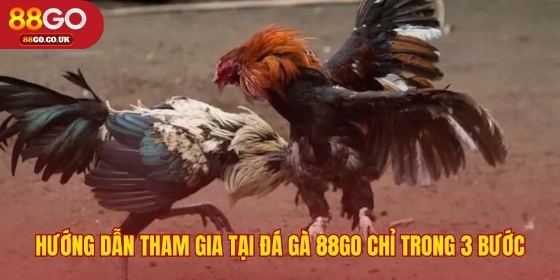 Tham gia đá gà 88GO dễ dàng qua ba bước nhanh gọn