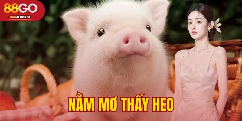 nằm mơ thấy heo