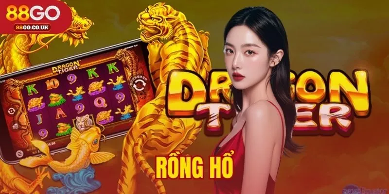 rồng hổ