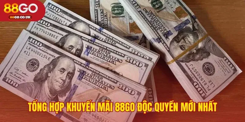 Các chương trình ưu đãi hấp dẫn độc quyền dành cho hội viên